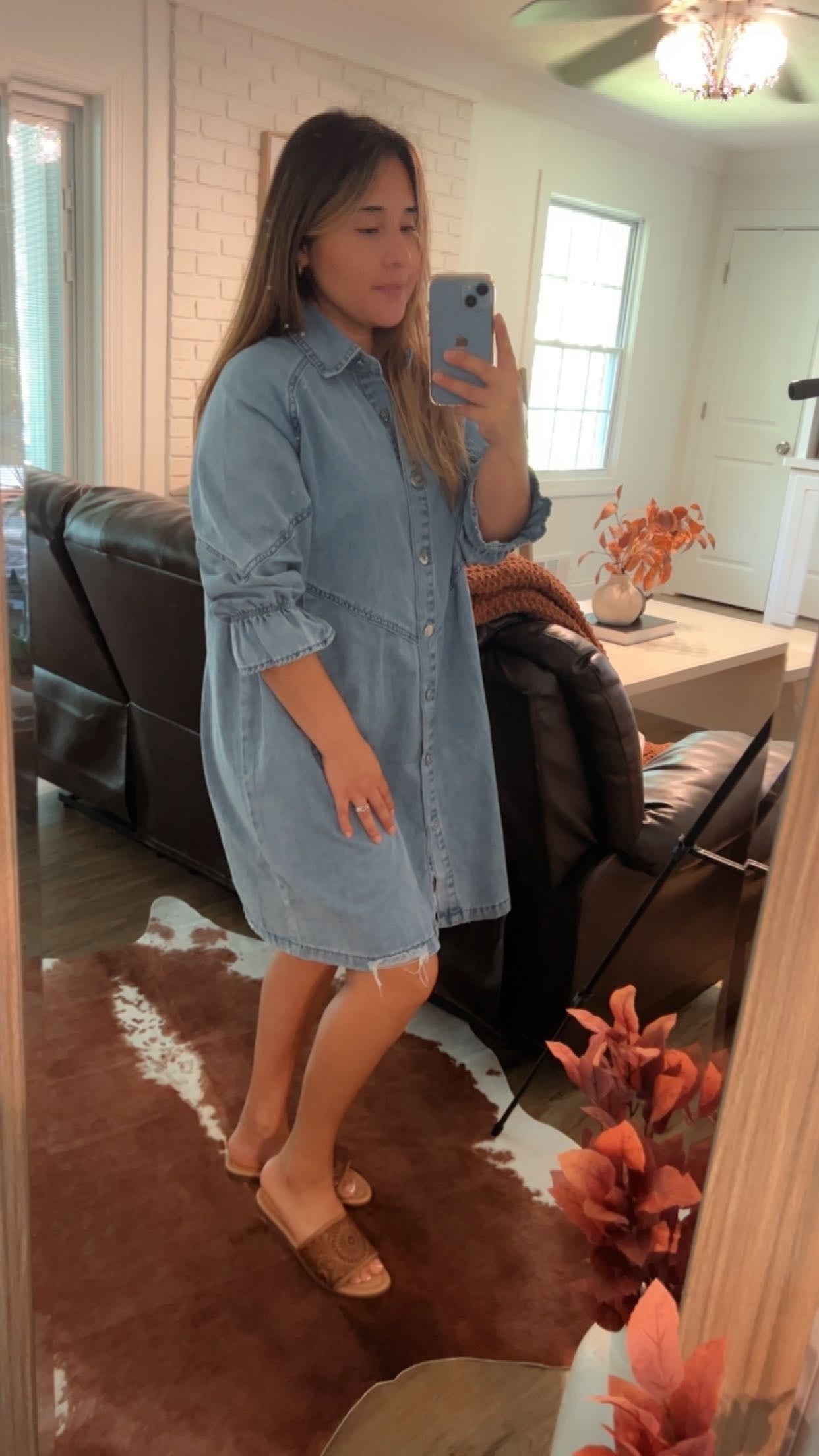 Long Sleeve Denim Mini Dress